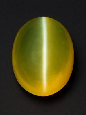 Cats eye lehsunia Cat's Eye Lehsunia